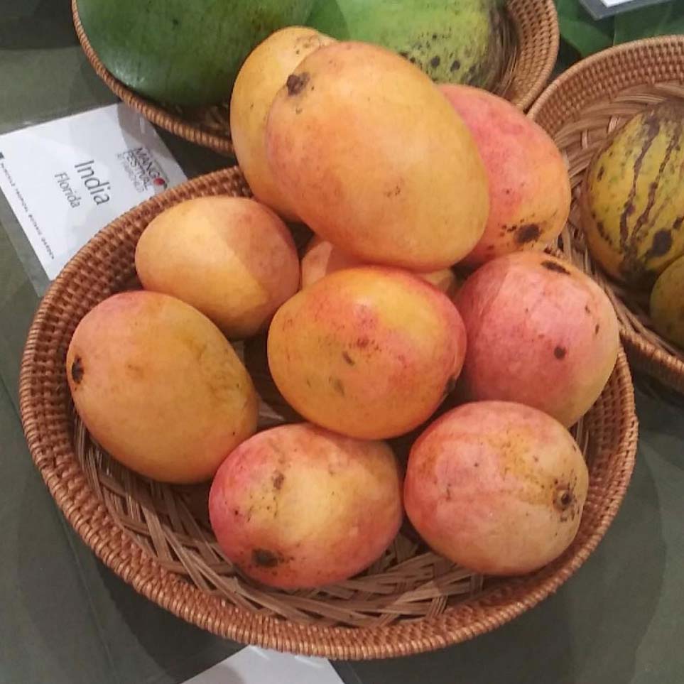 Mango Banilejo